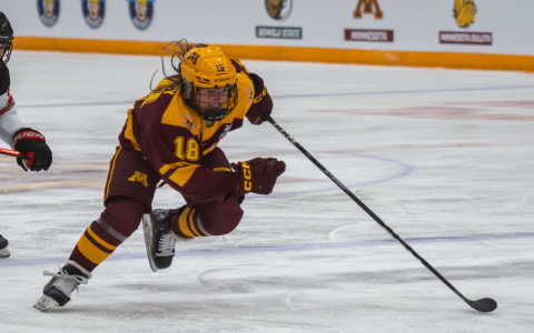 Does NHL Hockey Have Quarters? Learn About the 3-Period Format