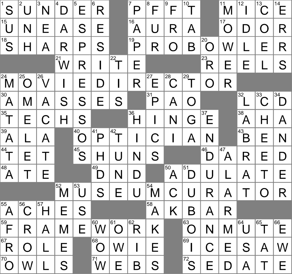 Some WNBA Fouls Crossword Clue Solved – Find the Latest Answer Here!