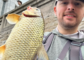 Unleash Your Style on the Greens with Vibrant Loud Golf Shorts