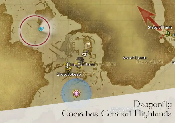 Ultimate FF14 Dragonfly Tips： Skyfishing, Locations, and Bait Essentials