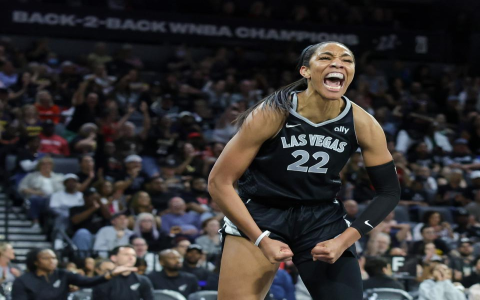 Find the 2023 WNBA Finals MVP Wilson Answer for Your Crossword Puzzle