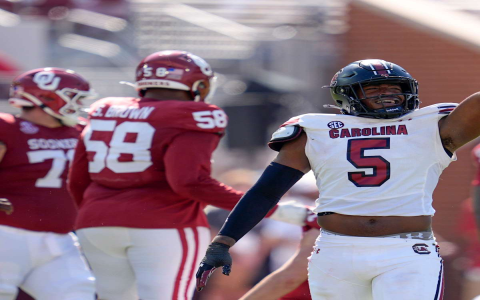 Best NFL Defenses Ranked: Who Dominates in 2024?