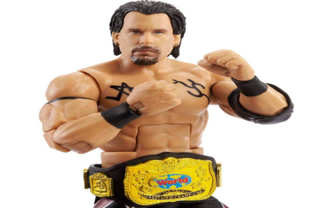 WWE Legend Figures: Collectible Action Figures of Wrestling Icons
