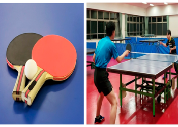 What is the Average Length of a Womens Tennis Match? Insights & Stats