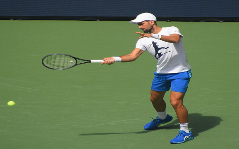 Croatian Female Tennis Players: Achievements and Rising Talents