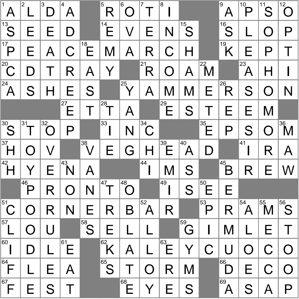 WNBA Sky on Scoreboards Crossword Clue Answer Revealed