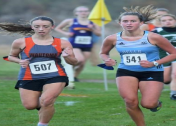 Top Winona Daily News Sports Stories: Track Success and Cross Country Champions