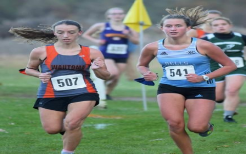 Top Winona Daily News Sports Stories: Track Success and Cross Country Champions