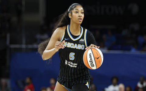 Record-Breaking WNBA Jersey Sales in 2024: Clark and Reese Dominate