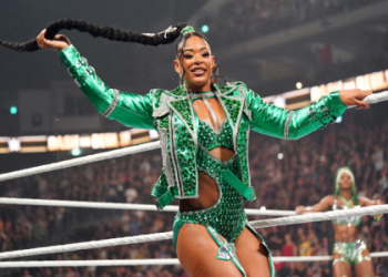 Time to Shine: Official WWE Championship Title Watches