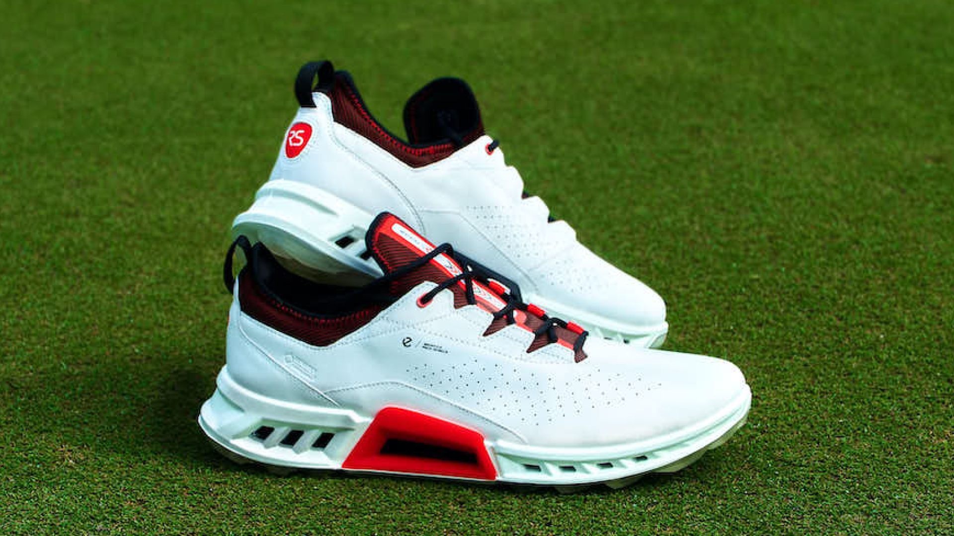 Shop Rick Shiels Golf Shoes: ECCO BIOM C4 Collection