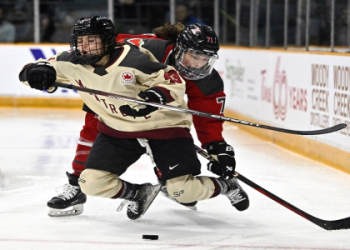 Solve the WNBA Team Based in the Windy City Crossword Puzzle