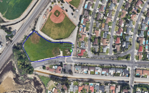 diamond bar baseball