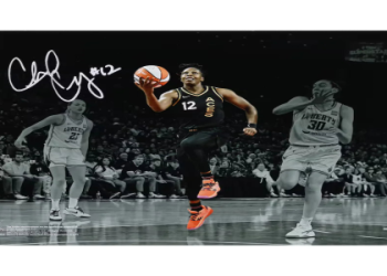 Top WNBA Posters for Your Home – Featuring Stars and Champions