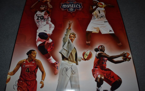 Buy WNBA Basketball Posters Online – Official NBA Art Prints & Framed Options