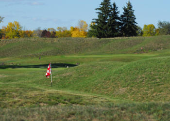 Discover Missing Links Mini Golf: Fun for All Ages in Mequon, WI