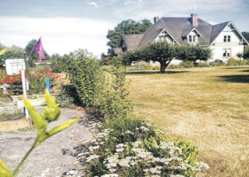 Ben Elenbaas Impact on Whatcom County: A Look at His First Term and 2024 Re-election Bid