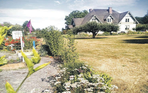 Ben Elenbaas Impact on Whatcom County: A Look at His First Term and 2024 Re-election Bid