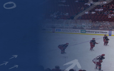 What is Grand Salami in NHL Betting? A Complete Guide