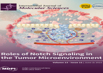 Juan Estevez Tennis Player Profile: ATP Ranking & Match History