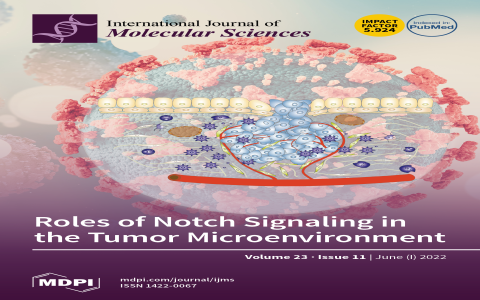 Juan Estevez Tennis Player Profile: ATP Ranking & Match History