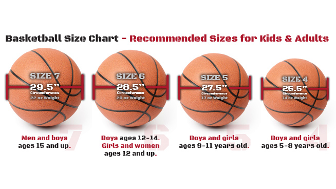 Is WNBA Basketball Smaller Than NBA Balls? Heres What You Need to Know