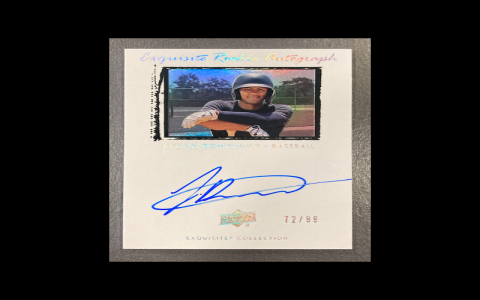 jasson dominguez signed baseball