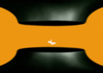 Influence Through Close Contact Crossword Clue Answer Revealed