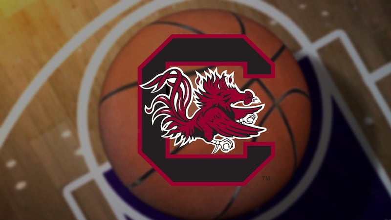 Live 5 News Sports: Latest Updates on Gamecocks SEC Opener and More
