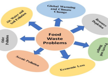 Common Mistakes to Avoid in EDP Meetings