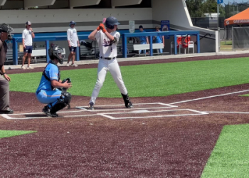 winter park diamond dawgs baseball