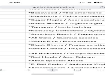 Top Golf Foursome Names: Popular and Catchy Choices