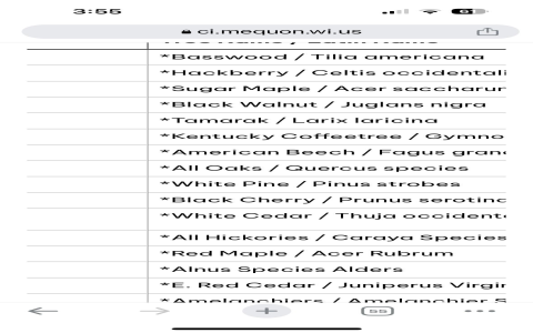 Top Golf Foursome Names: Popular and Catchy Choices