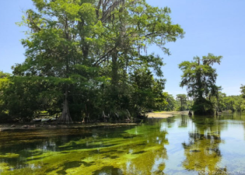 Dont Miss the Gulf Coast Fall Classic: Your Ultimate Guide