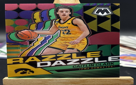 2024 Prizm WNBA Checklist: Find Your Favorite Players!