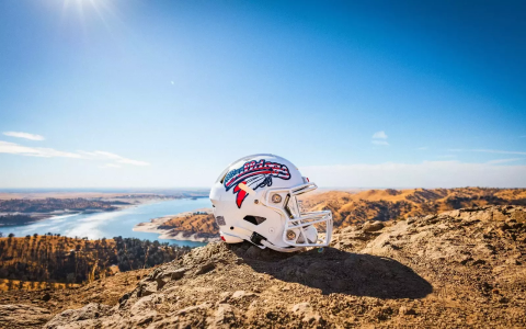 Where to Buy NFL Helmet Decal? Find It Here!