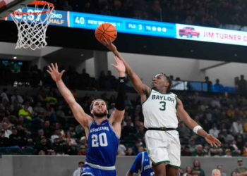 Unveiling WNBA Public Bets: Hot Picks and Expert Analysis