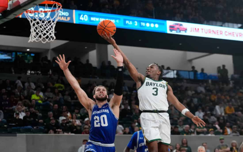 Unveiling WNBA Public Bets: Hot Picks and Expert Analysis