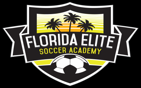 FESA Tournament 2024: Dates, Schedule, and How to Watch