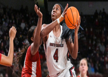 Rock a Dawn Staley WNBA Jersey: Show Your Support