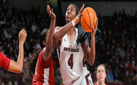 Rock a Dawn Staley WNBA Jersey: Show Your Support