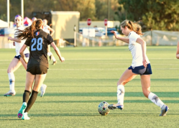 Gulf Coast Cup and Showcase 2024: All the Details You Need to Know in One Place!