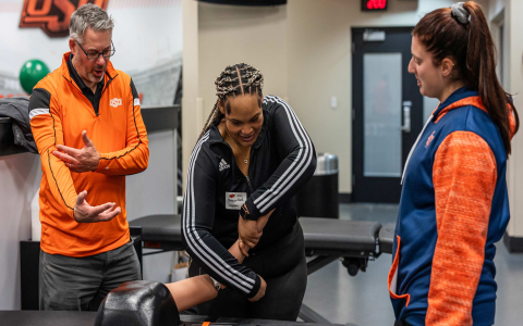 Sports Information Director Job Description: Duties and Responsibilities