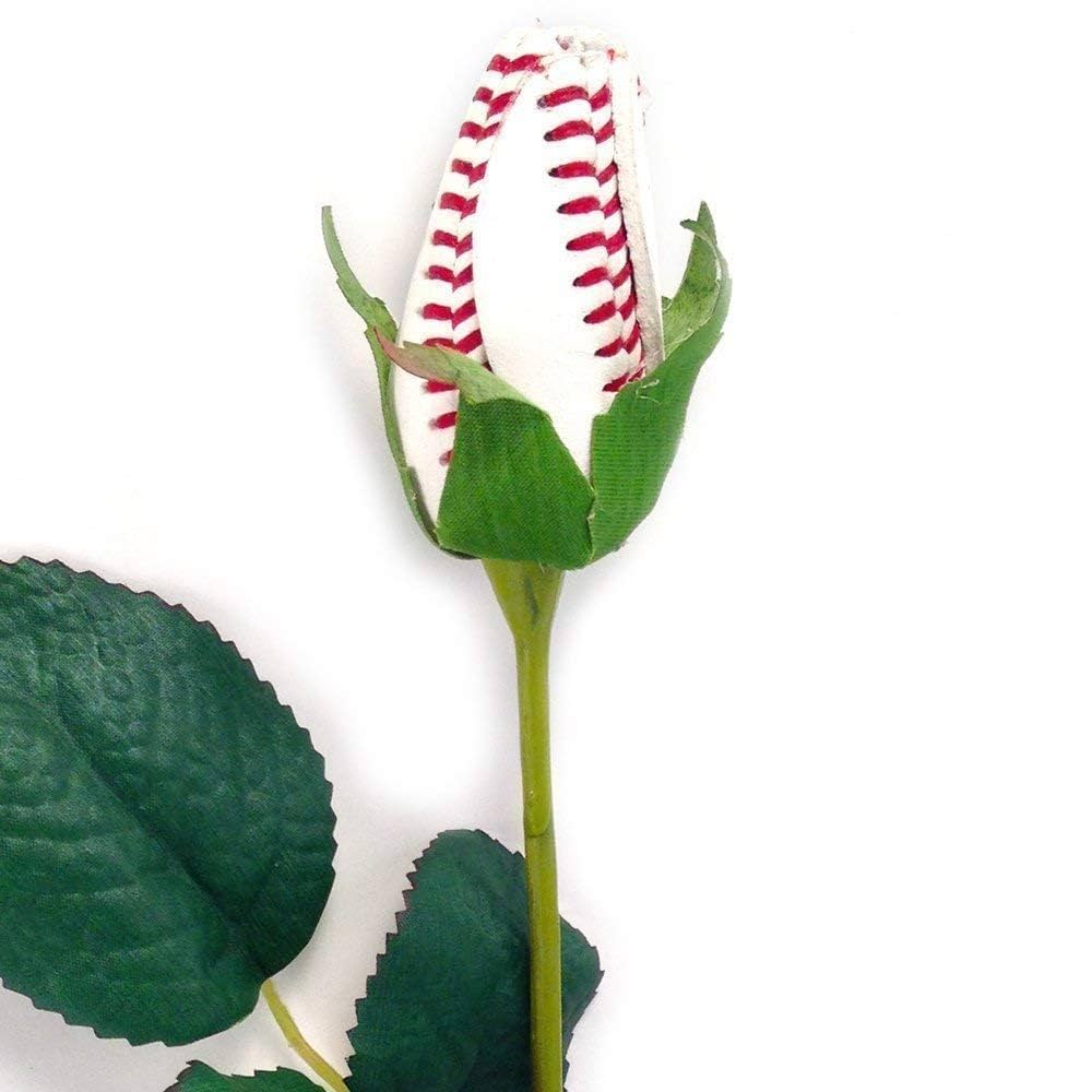 baseball rose