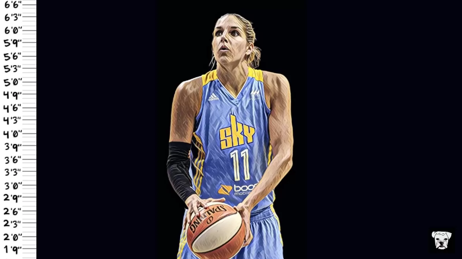 What is the average height in the WNBA? Check out the numbers!