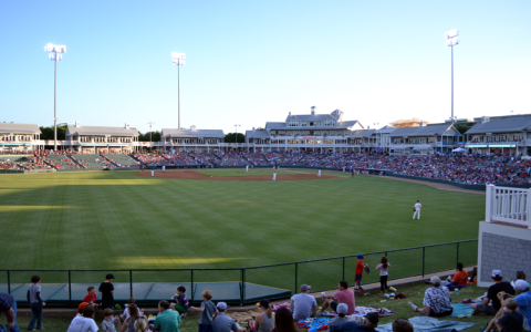 baseball game of pepper