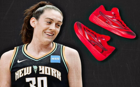 How to Style the wnba jordan 12 Sneakers (Get the Best Looks)