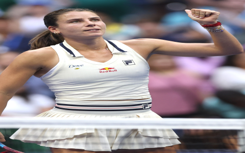 Do tennis players get paid if they lose? The real truth!