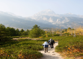 7 Expert Secrets to Enjoy the Ultimate Texas Football Game Experience