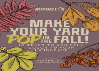 7 Expert Secrets to Maximizing Production Football Output: Strategies, Tools, and Common Pitfalls